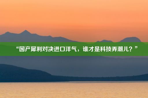 “国产犀利对决进口洋气，谁才是科技弄潮儿？”