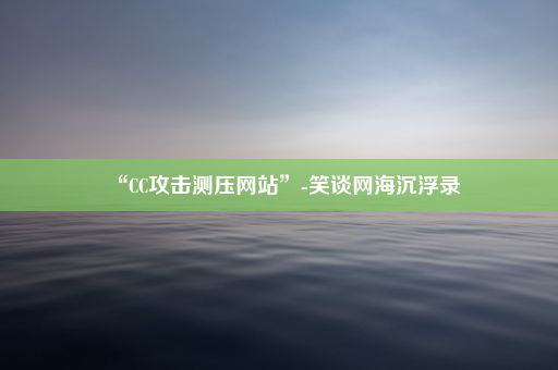 “CC攻击测压网站”-笑谈网海沉浮录