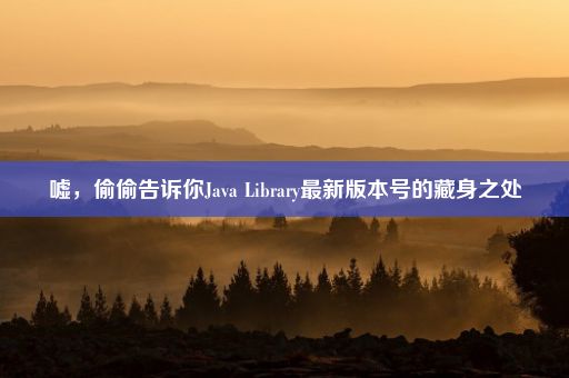 嘘，偷偷告诉你Java Library最新版本号的藏身之处