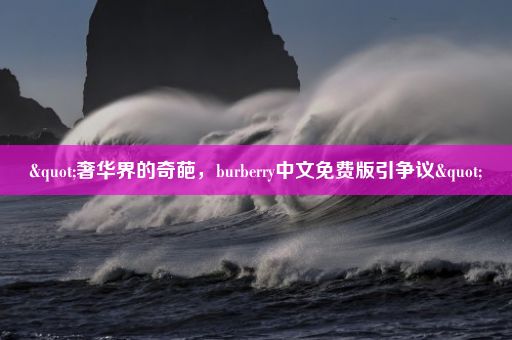 "奢华界的奇葩，burberry中文免费版引争议"