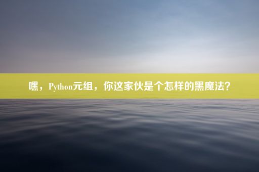 嘿，Python元组，你这家伙是个怎样的黑魔法？