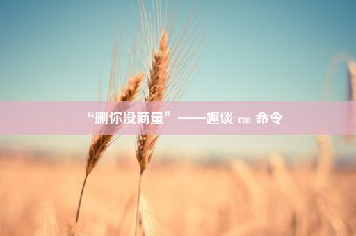 “删你没商量”——趣谈 rm 命令