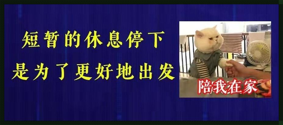 “停！校园里的时间凝固了？网友嗨聊科技新魔法”