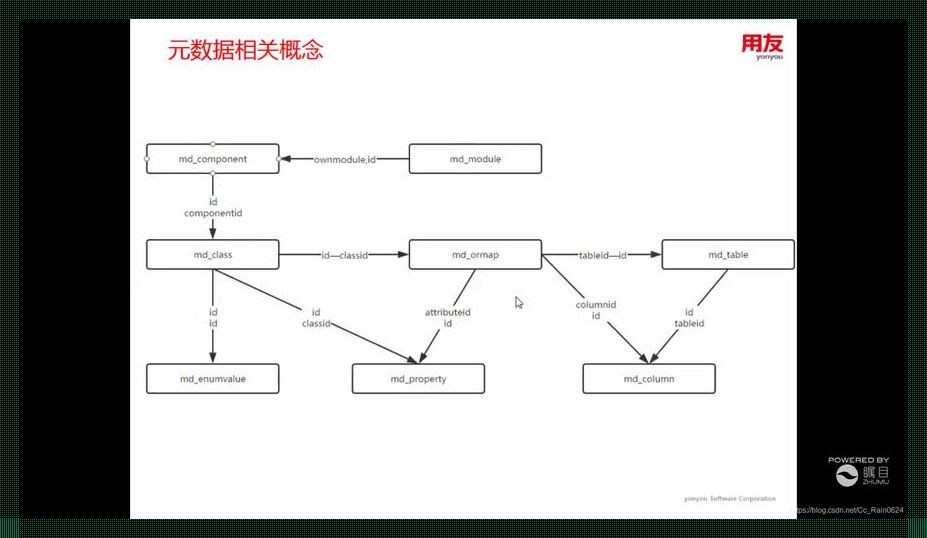 《互赖格局：笑谈人类版的“拉扯艺术”》