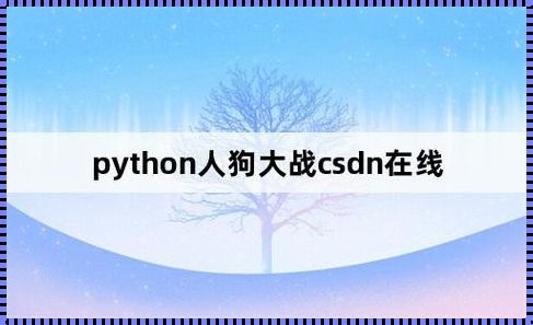 Py冲撞CSDN，笑看新时代：创新？我不懂啊！