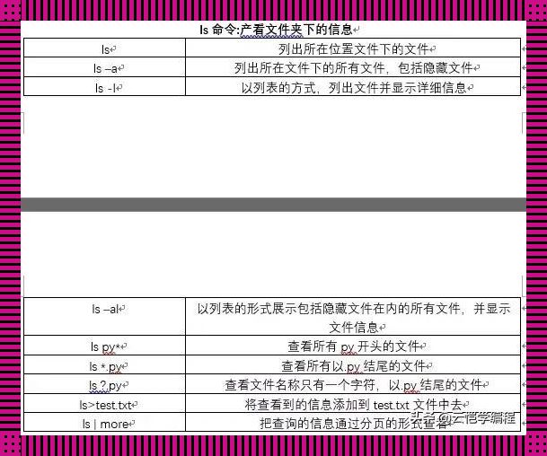 压缩文件夹，这可是个“挤牙膏”的技术活！