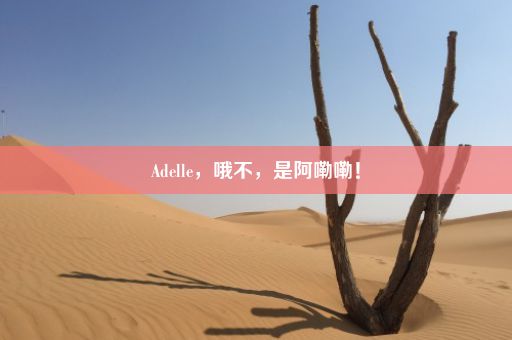 Adelle，哦不，是阿嘞嘞！