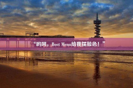 “哟呵，Boot Menu给我摆脸色！”