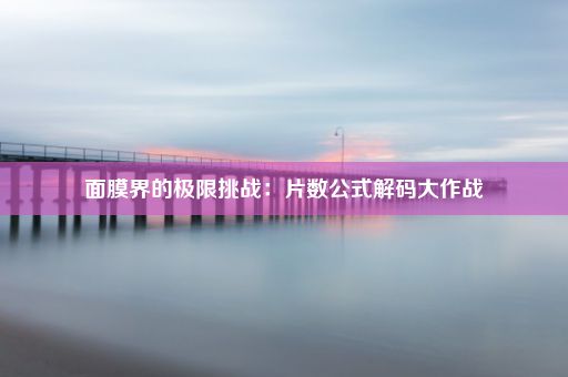 面膜界的极限挑战：片数公式解码大作战