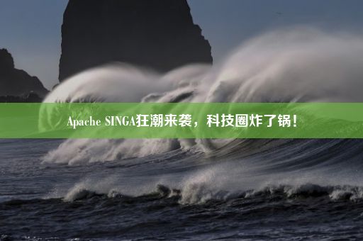 Apache SINGA狂潮来袭，科技圈炸了锅！