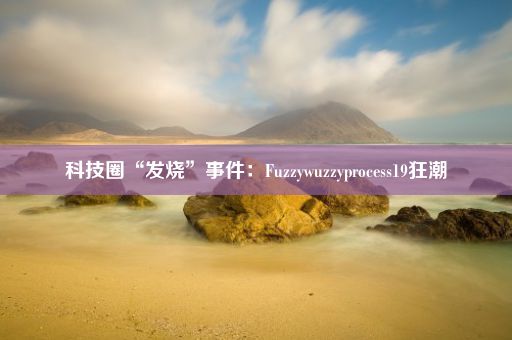 科技圈“发烧”事件：Fuzzywuzzyprocess19狂潮