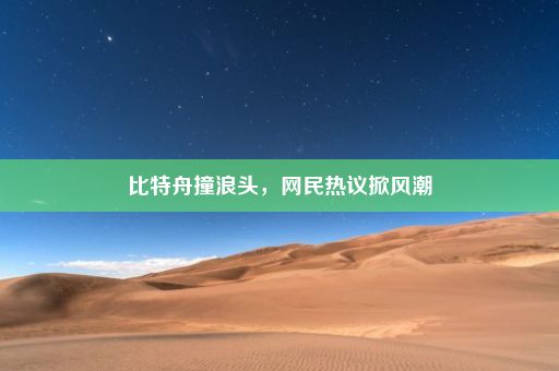 比特舟撞浪头，网民热议掀风潮