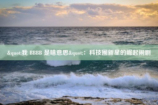 "我 BBBB 是啥意思"：科技圈新星的崛起闹剧