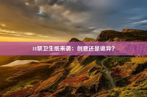 18禁卫生纸来袭：创意还是诡异？