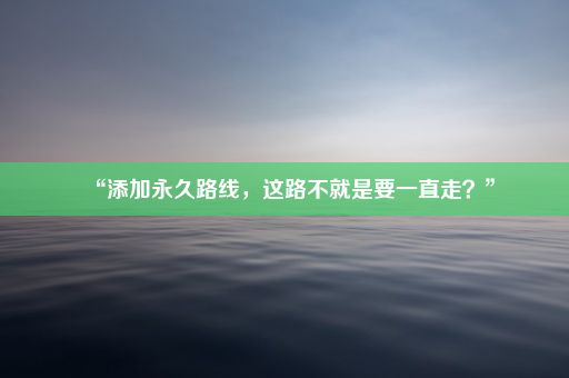 “添加永久路线，这路不就是要一直走？”