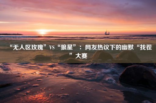 “无人区玫瑰”VS“狼星”：网友热议下的幽默“找茬”大赛