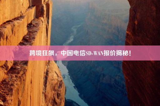 跨境狂飙，中国电信SD-WAN报价揭秘！