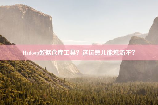 Hadoop数据仓库工具？这玩意儿能炖汤不？