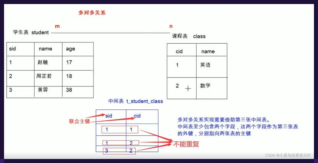 多对多关系的奇葩主键探秘