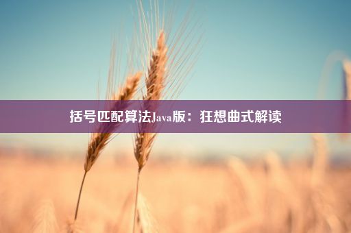 括号匹配算法Java版：狂想曲式解读