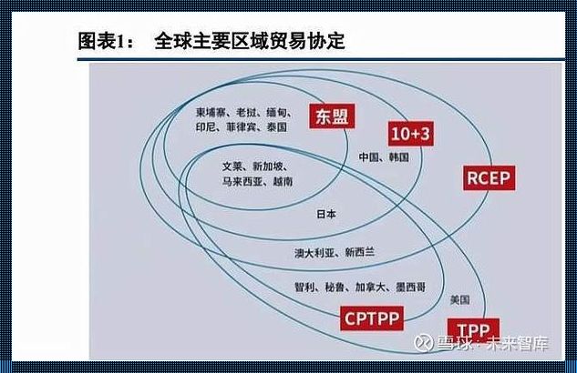 《狂飙突进，亚洲巨兽贸易圈的震撼狂潮！》