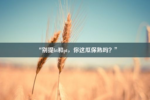 “别提bt和pt，你这瓜保熟吗？”