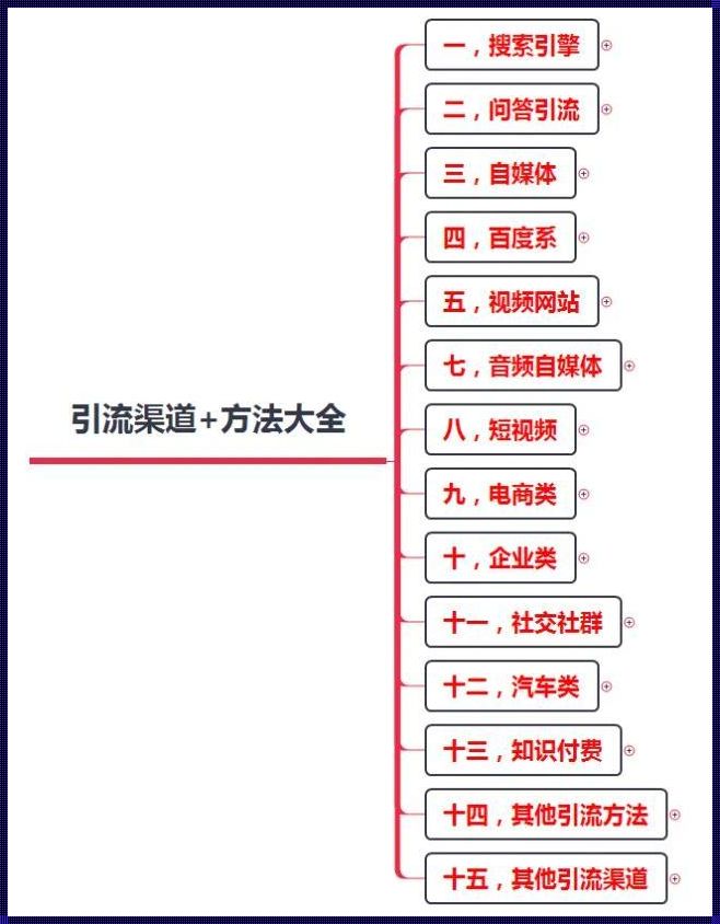 “SEO短视频狂潮，引流技巧创新？哼，笑谈全网热潮下的真实面目！