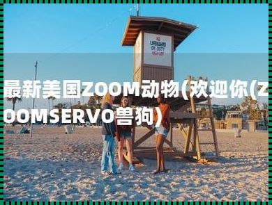 “ZOOMSERVO兽狗”：科技狂潮中的搞笑舵手