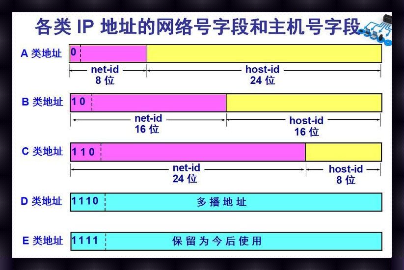 YP新服务器IP地址，热情引爆？笑谈科技圈的“新玩具”