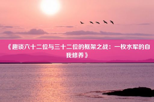 《趣谈六十二位与三十二位的框架之战：一枚水军的自我修养》