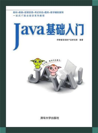 Java，入门？这麻辣烫般的编程语言，让你一口接一口停不下来！