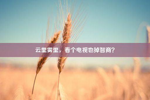 云里雾里，看个电视也掉智商？