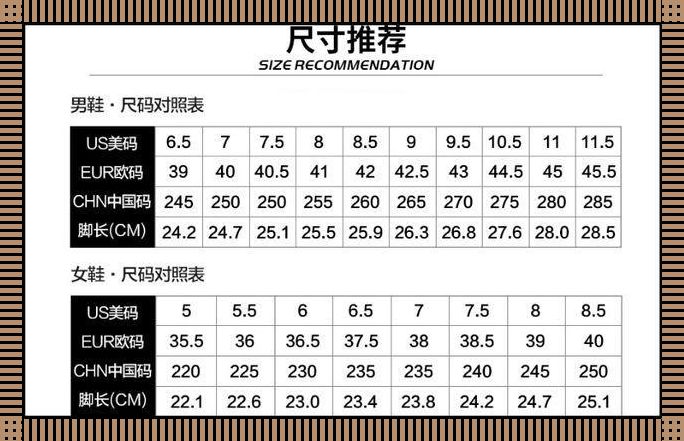 “欧码S”飞跃国界：编码界的混血儿，引领时尚科技新风潮