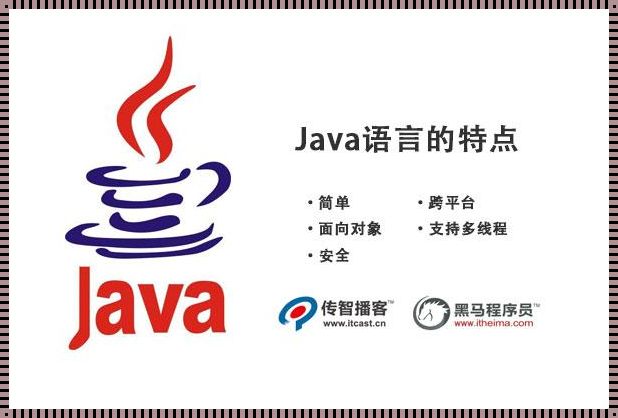 “Java？超文本标记语言？这笑话简直编程界的‘恐龙蛋’！