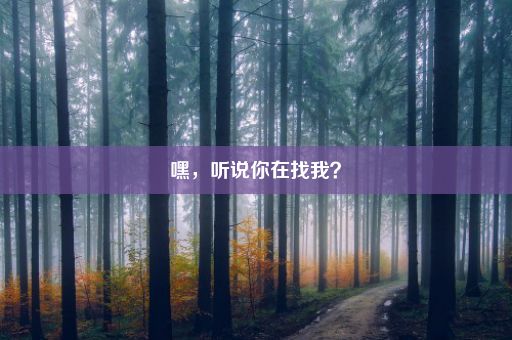 嘿，听说你在找我？