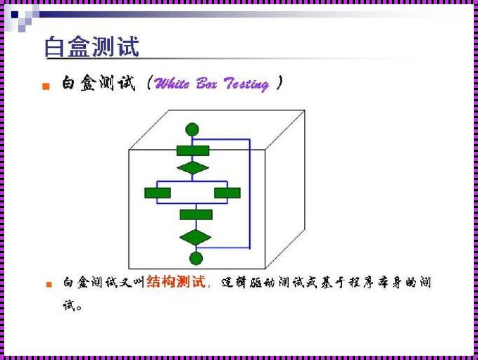 《白盒测试：戏谑的艺术，揭秘背后的疯狂逻辑》