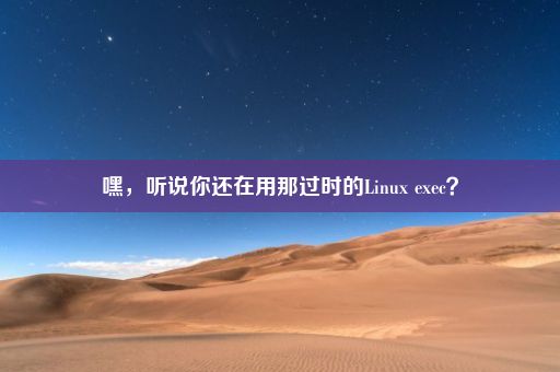 嘿，听说你还在用那过时的Linux exec？