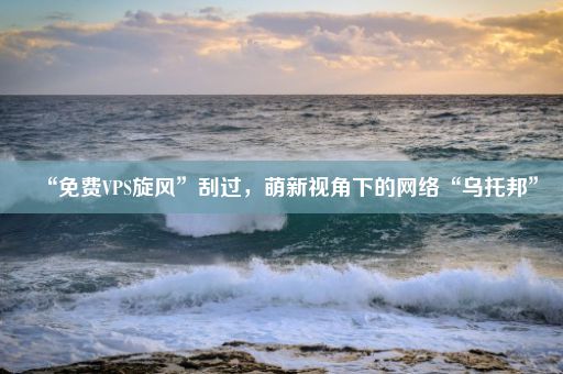 “免费VPS旋风”刮过，萌新视角下的网络“乌托邦”