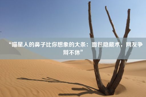 “喵星人的鼻子比你想象的大条：面包隐藏术，网友争辩不休”