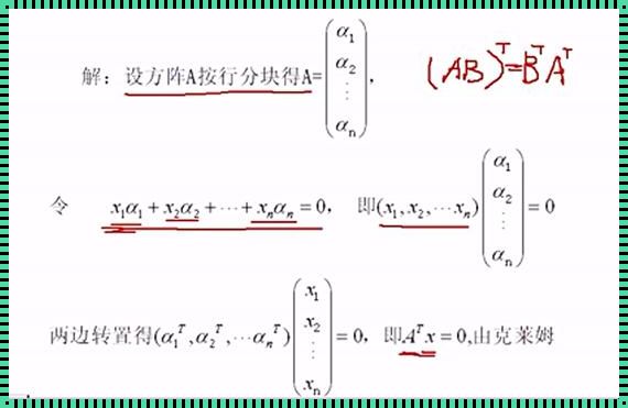 “浪子”行列式，线性无关的“嬉皮笑脸”