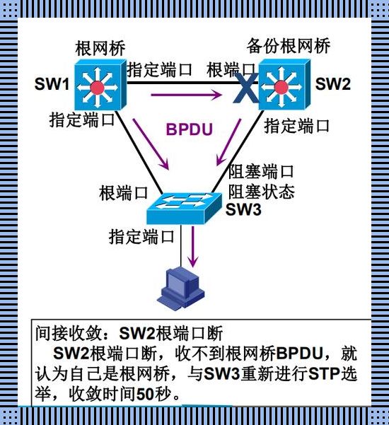 stp协议：我这一亩三分地的网络江湖