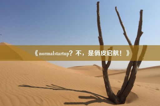 《normalstartup？不，是俏皮启航！》