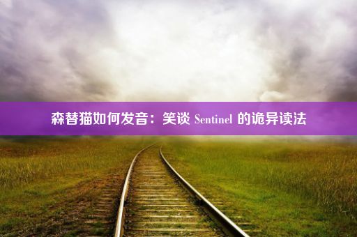 森替猫如何发音：笑谈 Sentinel 的诡异读法