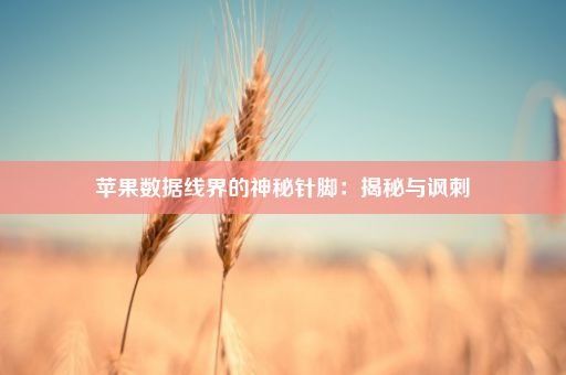 苹果数据线界的神秘针脚：揭秘与讽刺