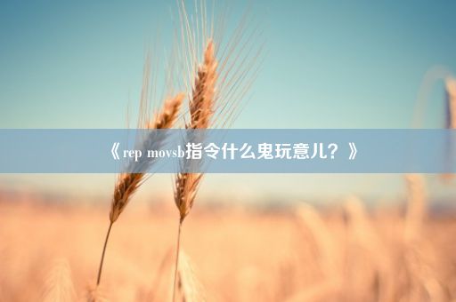 《rep movsb指令什么鬼玩意儿？》