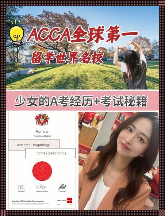 “ACCA少女sDANVI那句神了，潮流界的风驰电掣！