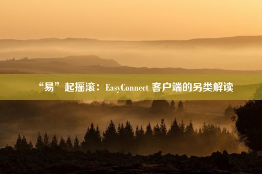 “易”起摇滚：EasyConnect 客户端的另类解读