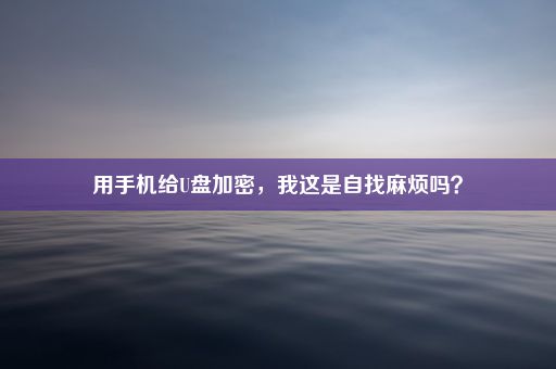 用手机给U盘加密，我这是自找麻烦吗？