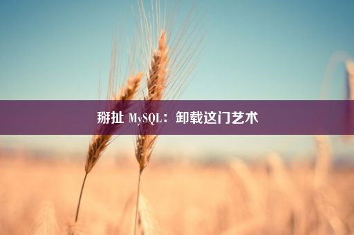 掰扯 MySQL：卸载这门艺术