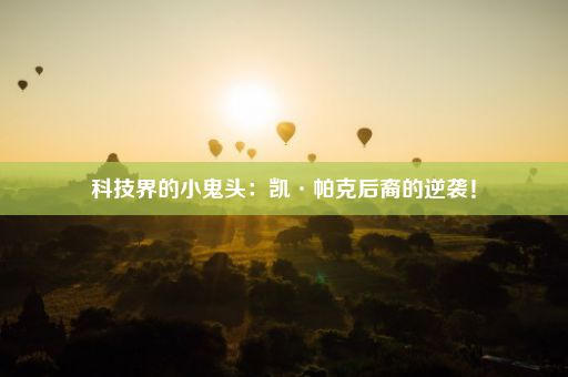 科技界的小鬼头：凯·帕克后裔的逆袭！